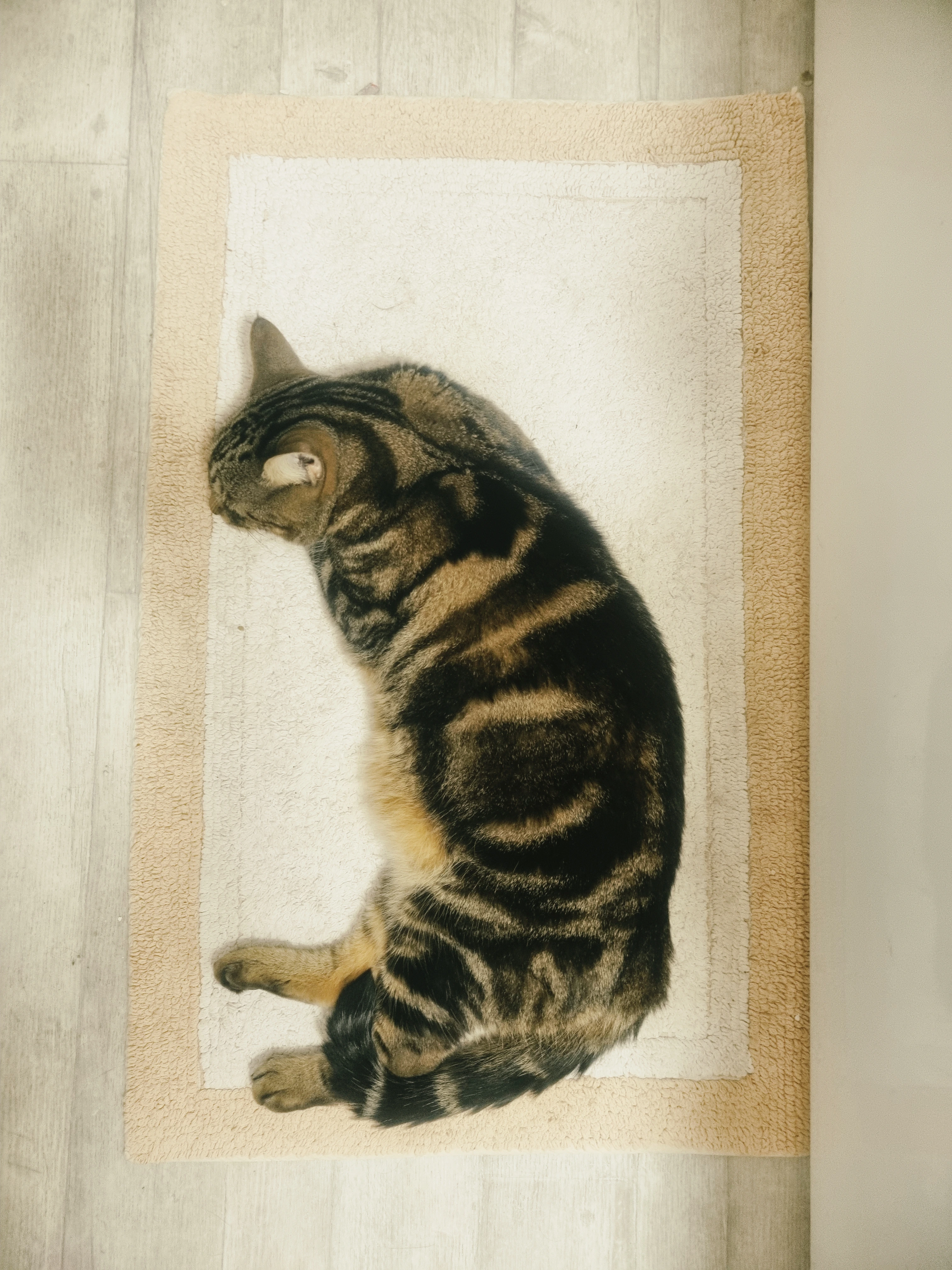 Nala